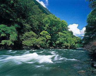 《DriveCrazy》steam抢先体验开启 轻卡暴走冒险