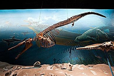 《绝地潜兵2》开发商CEO建议玩家理性消费 等服务器恢复了再买