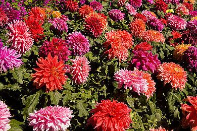 回合制战术《高水位》3月14日发售 登陆全平台